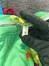 Unbranded Green 3/4 Sleeve T-Shirt Size S - photo 7