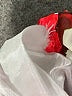 Choies Floral Red Formal Skirt Size 3 - photo 5