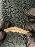 Grade & Gather 100% Polyester Green Coat Size M - photo 6