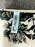 Que Zhu Ivory Short Sleeve Blouse Size L - photo 7