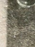 Fashion Black Coat Size L - photo 11