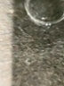 Ann Taylor LOFT Black Leggings Size L - photo 8