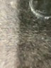 Velvet Blue Poncho Size L - photo 8