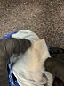 PETER MILLAR Polka Dots Blue Long Sleeve Blouse Size M - photo 8