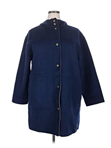 Ann Taylor Coat (view 1)