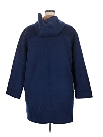 Ann Taylor Coat (view 2)