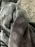 Lululemon Athletica Black Active Pants Size 2 - photo 6