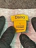 Daisy Gray Romper Size L - photo 4