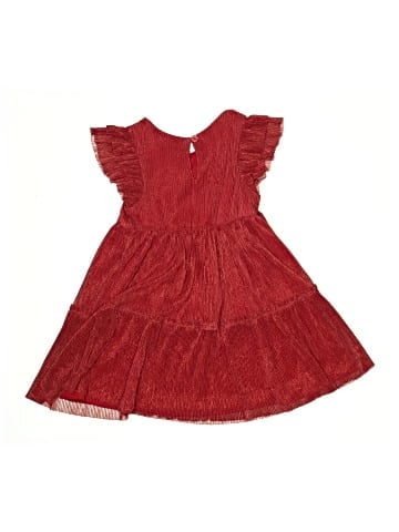 Zunie Dress (view 2)