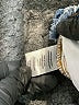 Tinseltown Blue Denim Shorts Size 3 - photo 4