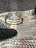 Eyeshadow Print Ivory Pullover Sweater Size M - photo 7