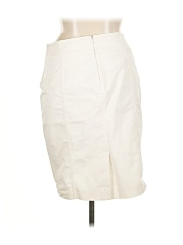 Ann Taylor Formal Skirt (view 2)
