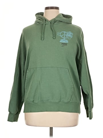 Puma Pullover Hoodie (view 1)