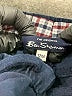 Ben Sherman 100% Cotton Blue Casual Pants 9-12 MO / 12 MO - photo 3