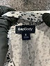 Gap Body Print Gray Shorts Size S - photo 3