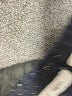 Eight Eight Eight Gray Pullover Sweater Size XL - photo 9