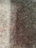 Lila Rose Solid Black Active Pants Size 10 - photo 10