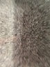 Garnet Hill Solid Gray Khakis Size 6 - photo 9