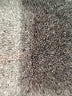 Garnet Hill Solid Gray Khakis Size 6 - photo 11