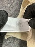 J.Crew Ivory Pullover Sweater Size M - photo 8