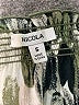 Nicola 100% Polyester Green 3/4 Sleeve Blouse Size S - photo 7
