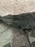 Unbranded Black Swimsuit Cover Up Size M - photo 6