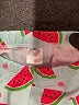 Unbranded Teal Board Shorts Size 6-12 mo - photo 3