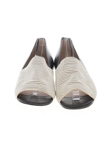 Botkier Flats (view 2)