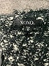 XOXO Black Cardigan Size S - photo 7