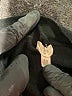 En Creme Black Cardigan Size XS - photo 7