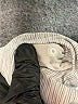 Lululemon Athletica Gray Active Pants Size 8 - photo 5