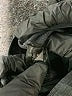 Alphalete Athletics Solid Gray Athletic Shorts Size S - photo 4