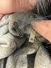 Elie Tahari 100% Wool Gray Wool Coat Size XS - photo 6