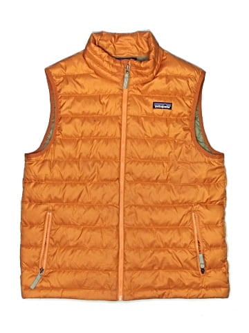 Patagonia Vest (view 1)