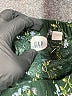 Gap 100% Cotton Floral Green Skirt Size XL (kids) - photo 3