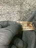 Calvin Klein Gray Blazer Size 4 - photo 7
