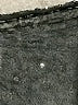 PrettyGuide 100% Polyester Stars Black Formal Skirt Size XL - photo 4