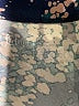 Flirtitude Print Blue Leggings Size M - photo 7