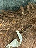 Unbranded Brown Cardigan Size S (estimated) - photo 7