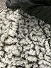 Unbranded Black Vest Size M (estimated) - photo 7