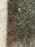 Holiday Time 100% Acrylic Gray Pullover Sweater Size S - photo 8