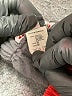 Bonpoint 100% Cotton Red Casual Pants Size 2 - photo 4