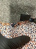 French Connection Animal Print Orange Jumpsuit Size 2 - photo 4