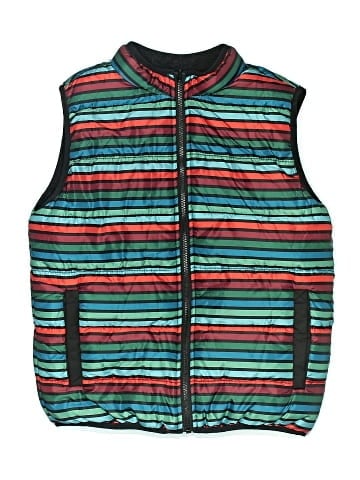 Gymboree Vest (view 1)