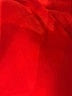 Assorted Brands 100% Polyester Solid Red Casual Skirt One size - photo 4