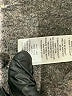 BCBGirls Tan Cardigan Size S - photo 8