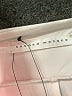 Susana Monaco Solid Ivory Shorts Size M - photo 3