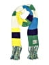 American Eagle Outfitters Stripes Yellow Green Scarf One size - photo 1