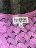 Blueberi Boulevard 100% Polyester Pink Short Sleeve Blouse Size 3T - photo 3