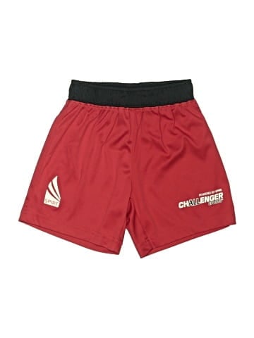 Challenger Teamwear Athletic Shorts (view 1)